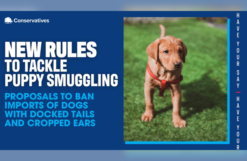 Puppy Smuggling Graphic CCHQ