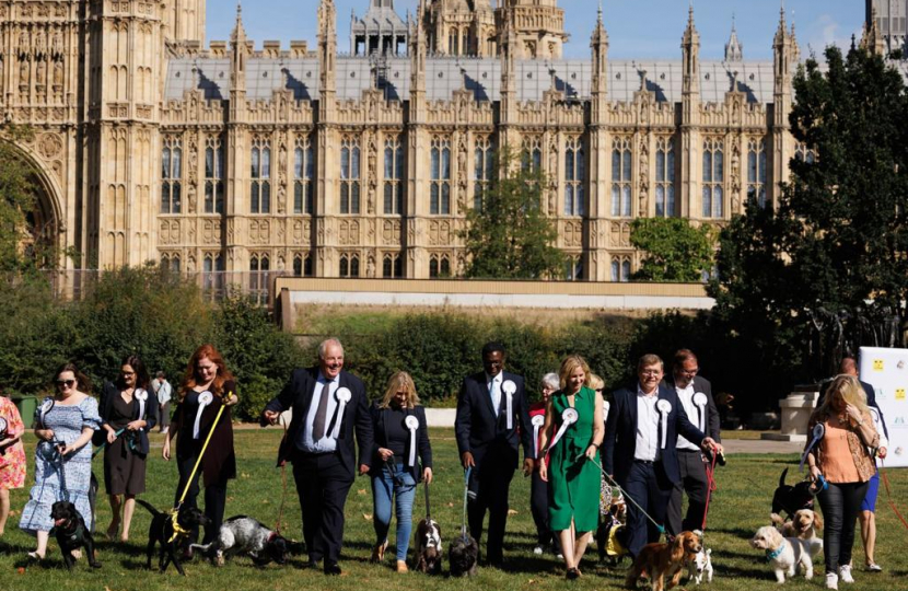 A group of MPs with their dogs