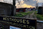 Westhouses